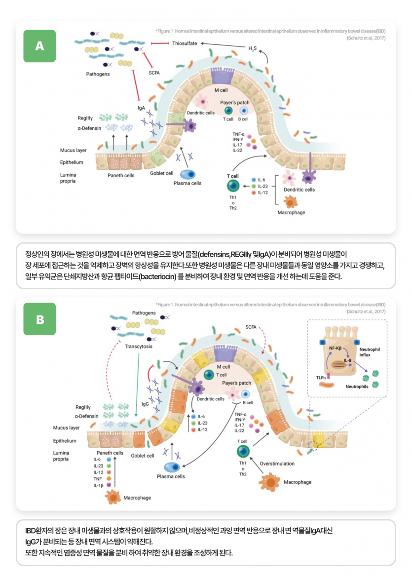 8b98e993a386734a97896dc54ad8fdea_1750370369_3474.png